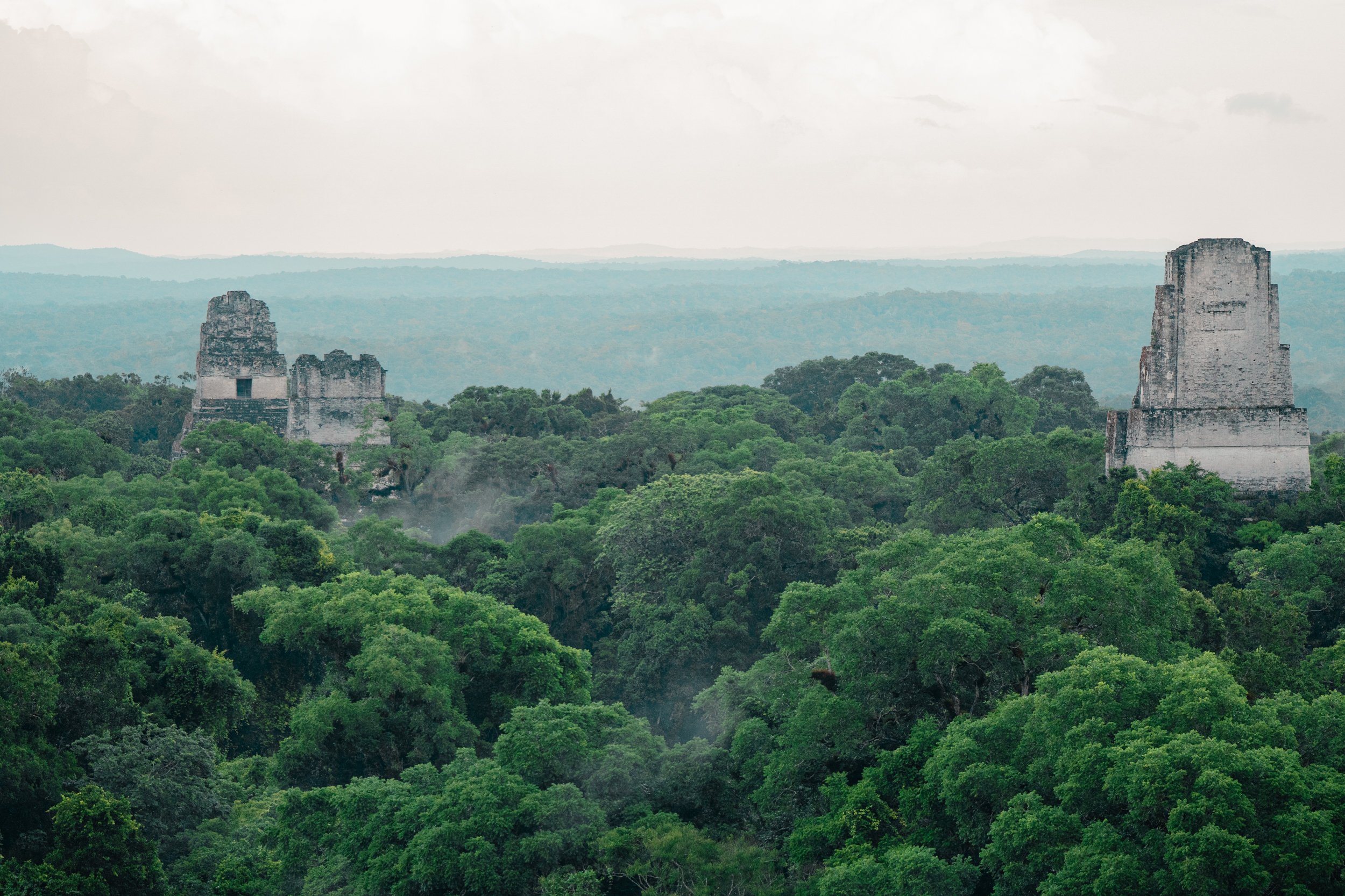 mayan reserve
