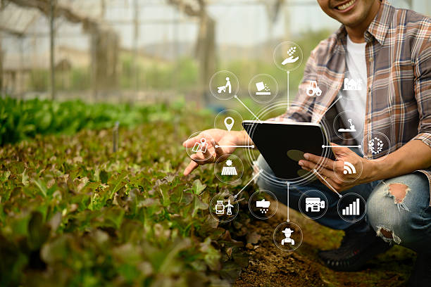 Innovation in the Food Industry