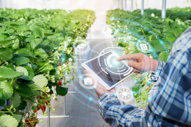 Overcoming Barriers to Sustainability