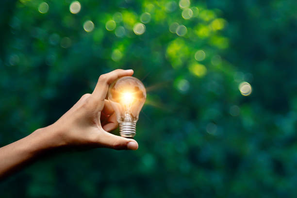 Hand holding light bulb against nature on green leaf with icons energy sources for renewable