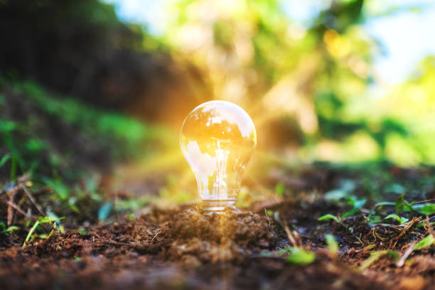 Closeup image of a light bulb glowing on pile of soil