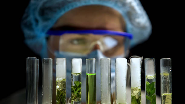 Sustainable Food Future