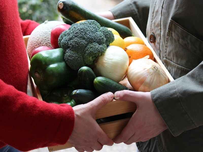 Two people holding a crate of assorted vegetables, representing how regional food industries connect small farmers to stable buyers and local markets.