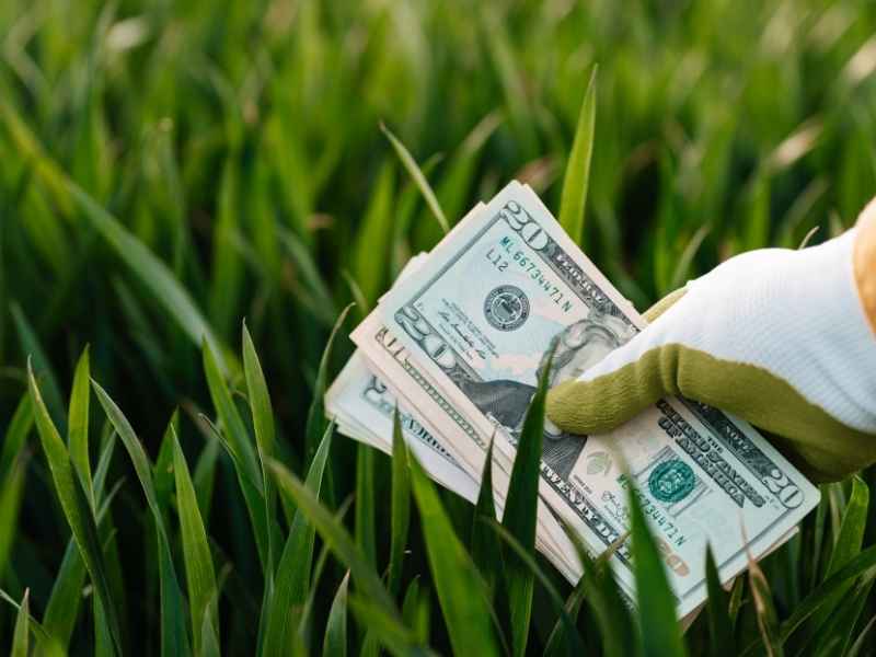 Gloved hand holding U.S. dollar bills over green crops, symbolizing income generation and economic circulation enabled by regional food industries.