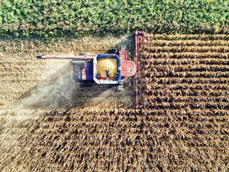 Top-down view of a combine harvester collecting crops in a large agricultural field.