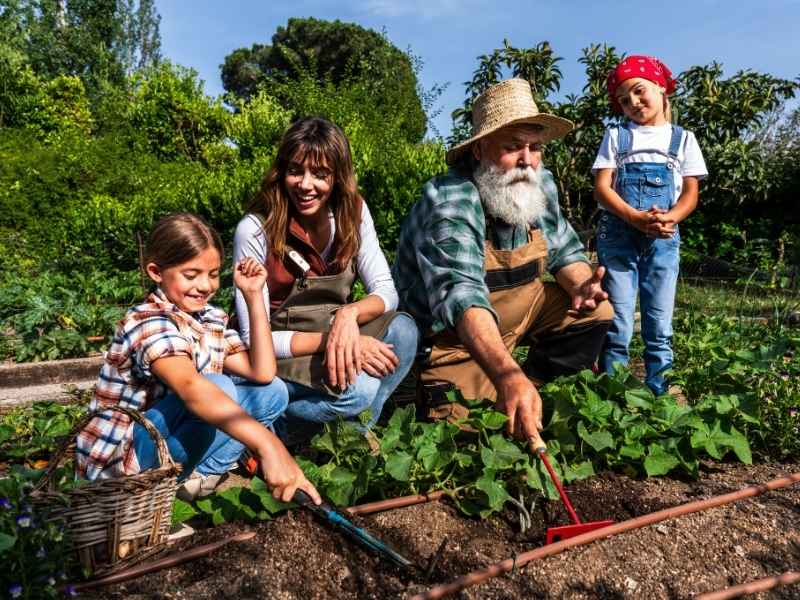 Family working together in a vegetable garden, representing local food production and community-based solutions for affordable nutrition in Latin America.