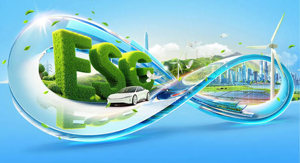 Sustainable Development Strategies