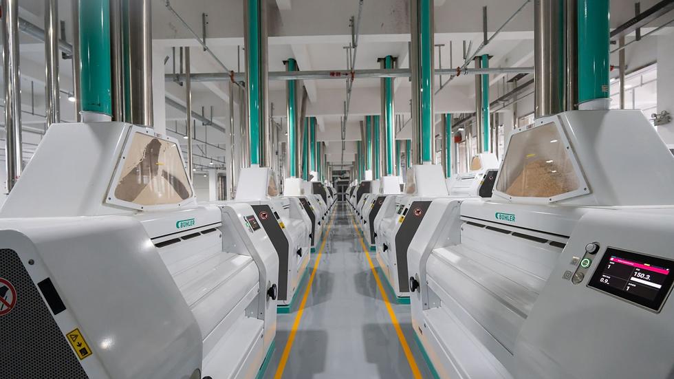 Industrial flour milling facility with specialized machinery used to process wheat grains into flour for food production.